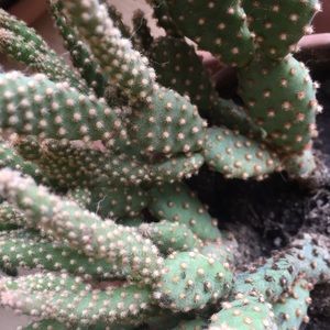 Meet your Posher, Auguste